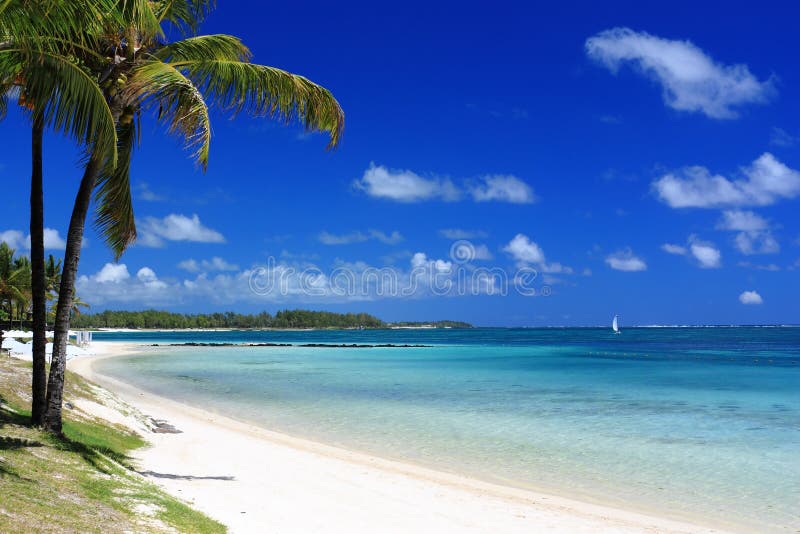 Wonderful beach with palm trees in tropical island. Wonderful beach with palm trees in tropical island