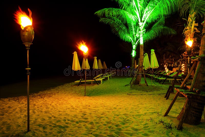 Tropical Beach at Night Time Stock Image Image of exposure, palm