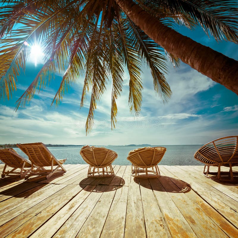 Tropical beach with palm tree and chairs for relaxation on wooden terrace