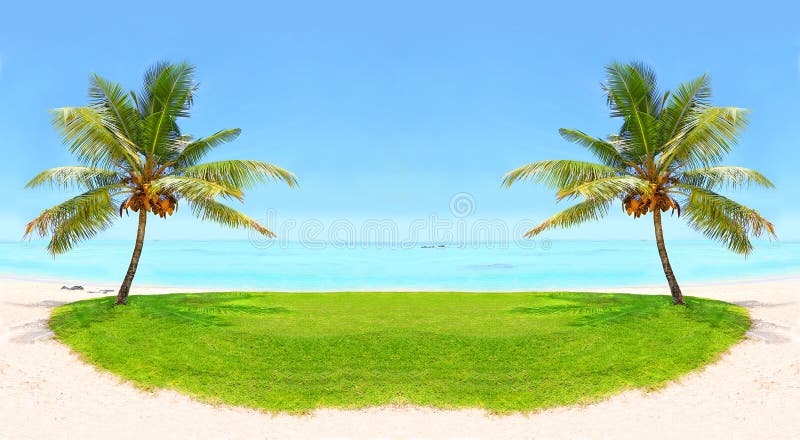 Tropical beach and palm tree with coconuts, blue sea and sunny sky on a background. Greeting from paradise. Tropical beach and palm tree with coconuts, blue sea and sunny sky on a background. Greeting from paradise.