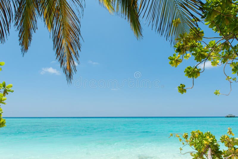 Tropical beach with palm tree leaf, idyllic tropical scenery, Ma