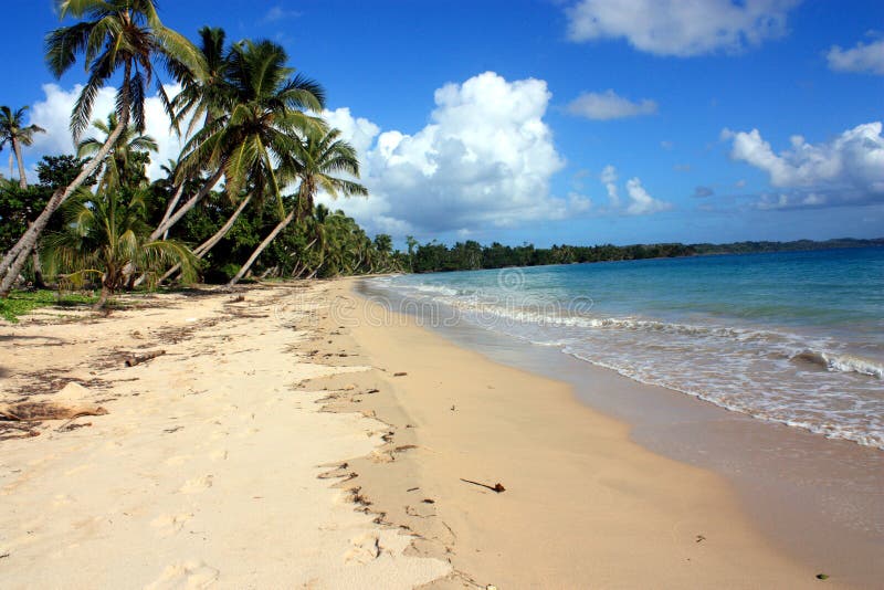 Tropical beach with palm tree, ÃŽle Sainte Marie, Madagascar.