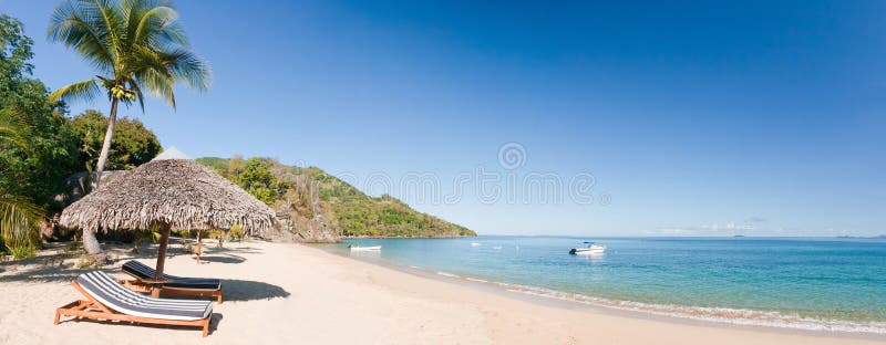 Tropical beach panorama with deckchairs, umbrellas, boats and palm tree