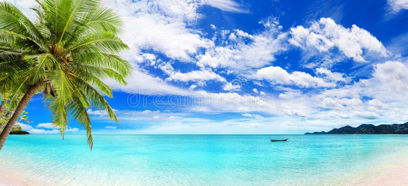 Tropical beach panorama, exotic island landscape panoramic view, green palm tree leaves, boat on turquoise sea water, ocean waves