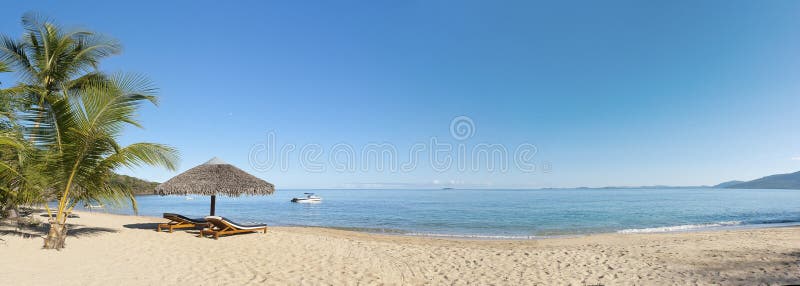 Tropical beach panorama with sunbeds, umbrellas, boats and palm tree