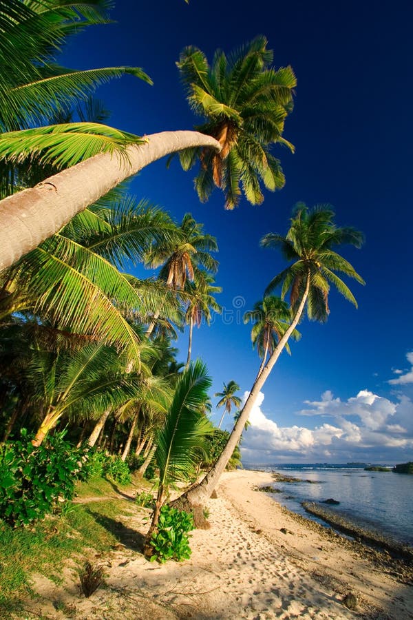 Tropical beach paradise