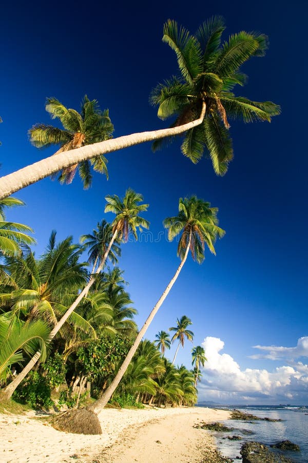 Tropical beach paradise stock photo. Image of caribbean - 2727534