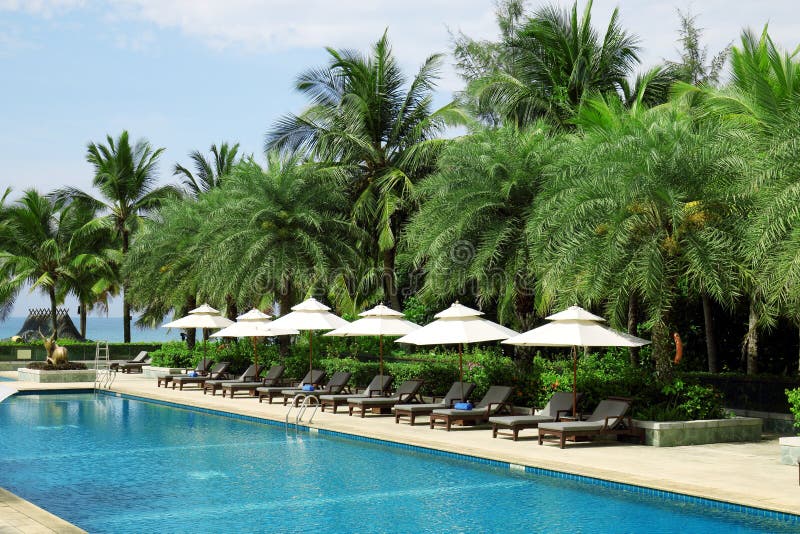 Tropical beach resort hotel swimming pool -- tropical beach vacation and travel concept.