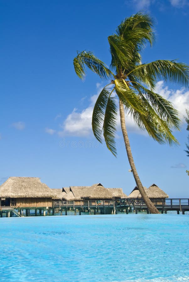 Tropical beach resort on moorea in south seas