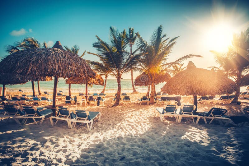 Tropical Beach Resort in Punta Cana, Dominican Republic.