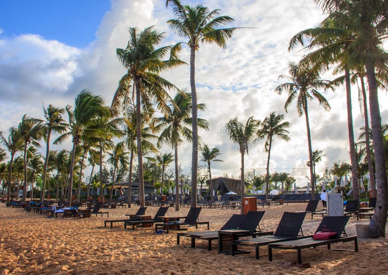 Tropical Beach Resort and Villa with Deckchairs, White Sand and Palm ...