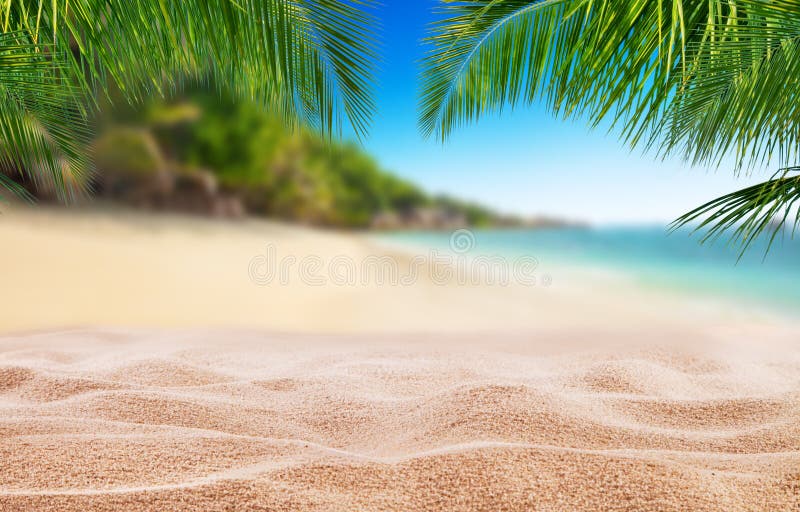 Tropical beach with sand, summer holiday background.