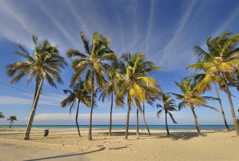 Tropical beach at Santa maria del mar, cuba