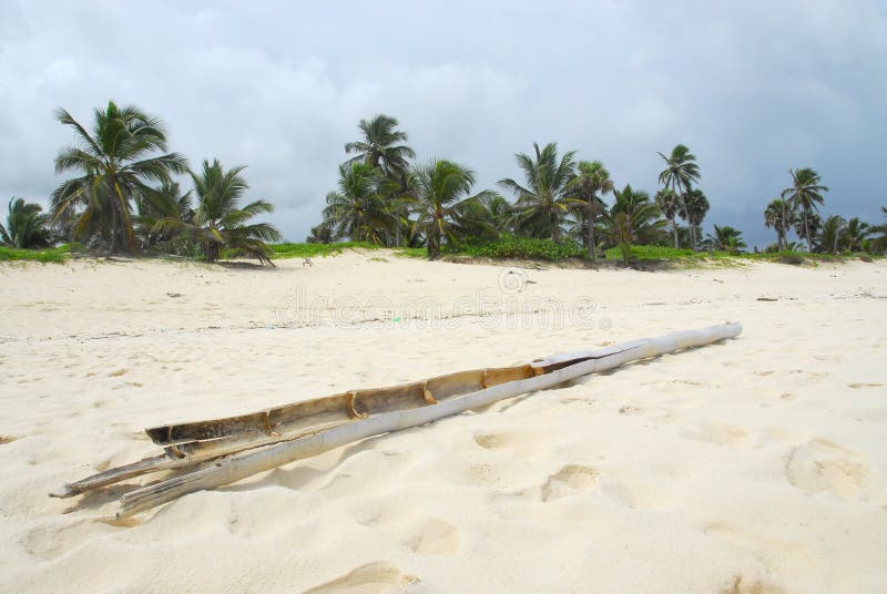 Tropical beach scene