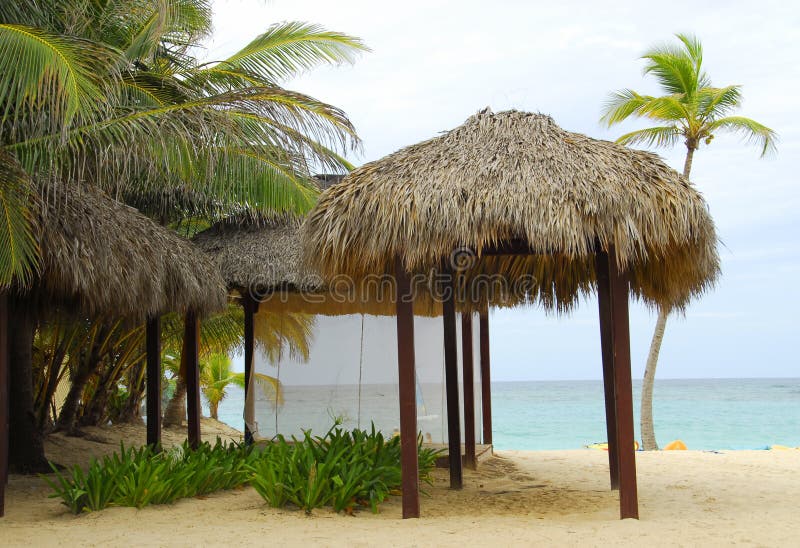 Tropical beach scene