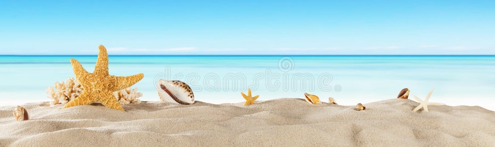 Summertime Photos, Download The BEST Free Summertime Stock Photos & HD  Images