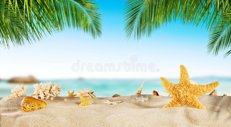 Tropical Beach with Sand, Summer Holiday Background. Stock Photo ...