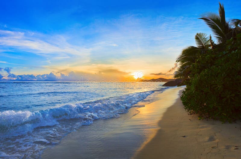 Tropical beach at sunset