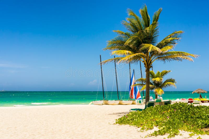 The tropical beach of Varadero in Cuba royalty free stock images The tropical beach of Varadero in Cuba royalty free stock images