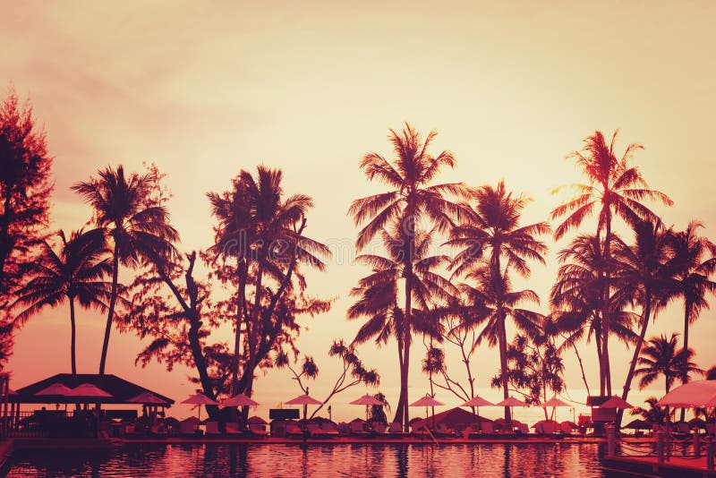 Tropical beach view. Palm tree and red sunset sky. stock images Tropical beach view. Palm tree and red sunset sky. stock images