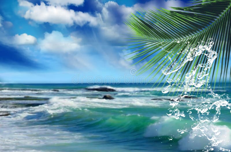 Tropical   beach white  sand blue sea water birds on  sky white clouds  sunshine palm tree branch  summer landscape  summer umbrel