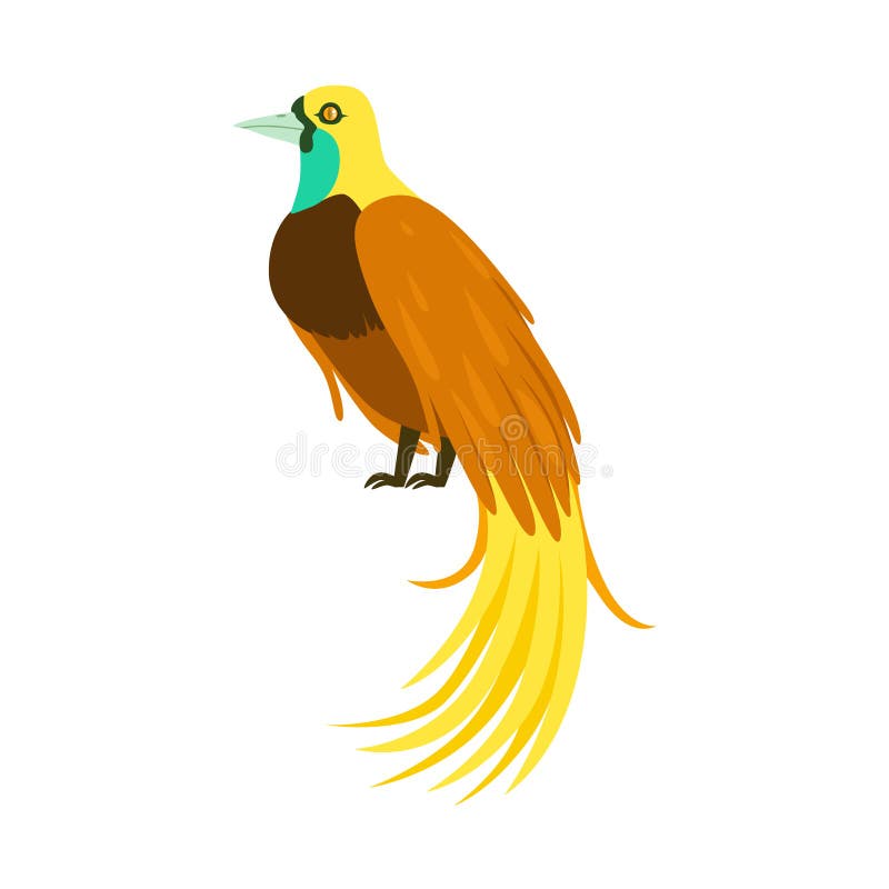 Cartoon Bird Long Tail Stock Illustrations – 309 Cartoon Bird Long Tail  Stock Illustrations, Vectors & Clipart - Dreamstime