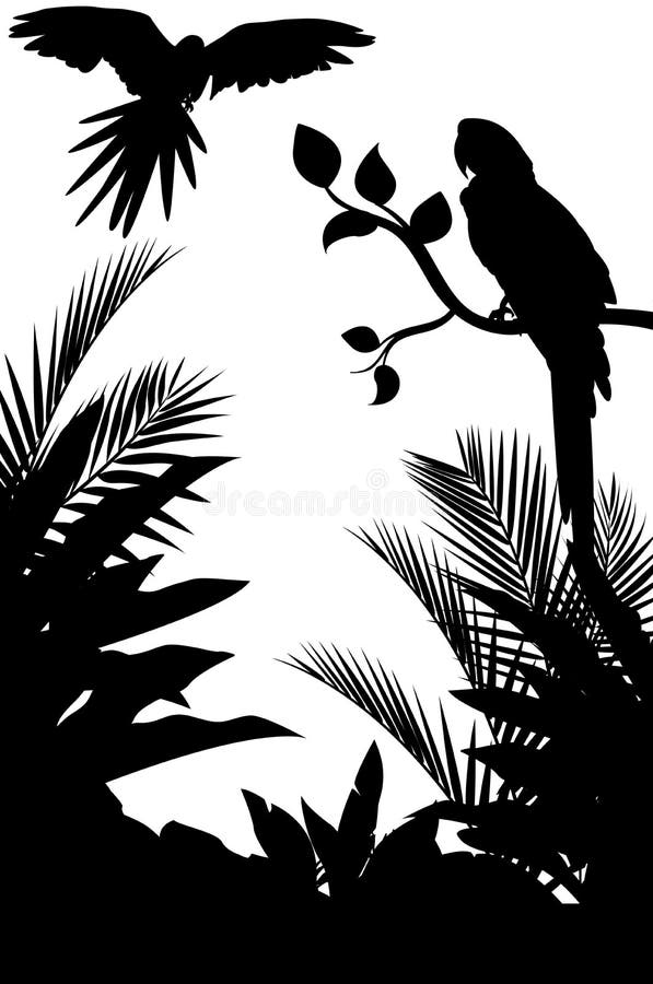 Vector illustration of Tropical bird silhouette with forest background. Tropical animal icons illustrations