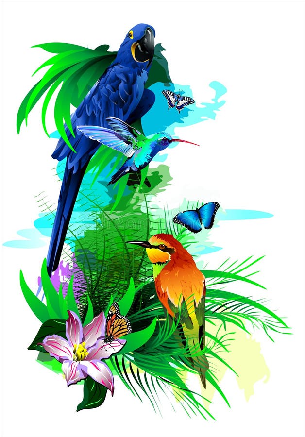 Vector image of exotic birds. Additional format: made in CorelDRAW X13. Color settings: Tools/color management/Optimized for the Web. Additional format vector illustrations