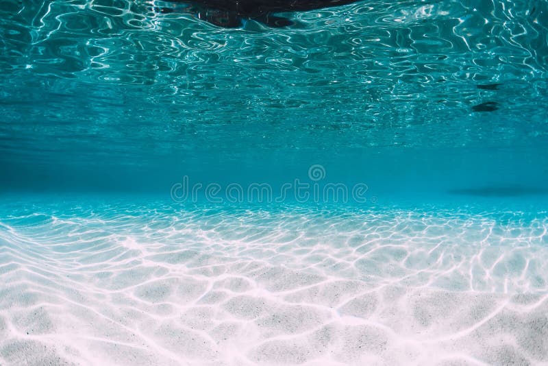 Tropical blue ocean with white sand underwater