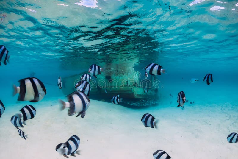 Wreck of the Boat on the Beach Stock Image - Image of quiet, gili: 30345519