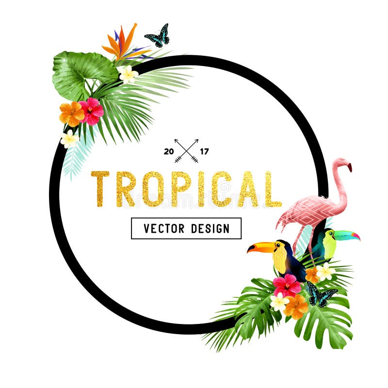 Download Tropical Border Design stock vector. Illustration of ...