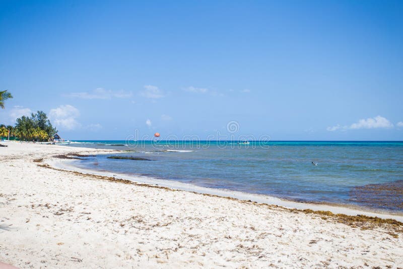 Tropical bounty beach on a hot summer day with blue ocean royalty free stock images Tropical bounty beach on a hot summer day with blue ocean royalty free stock images