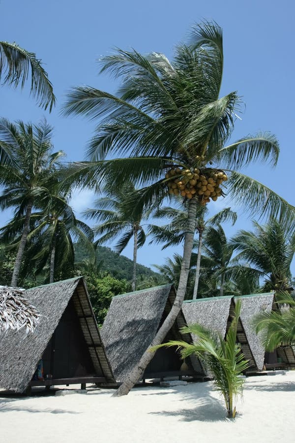 Tropical bungalows.