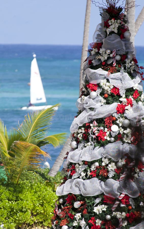 1+ Christmas ornaments tropical Free Stock Photos StockFreeImages