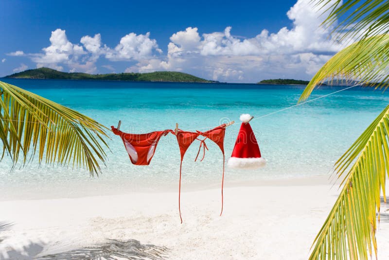 Tropical christmas beach stock photo. Image of christmas 11307752