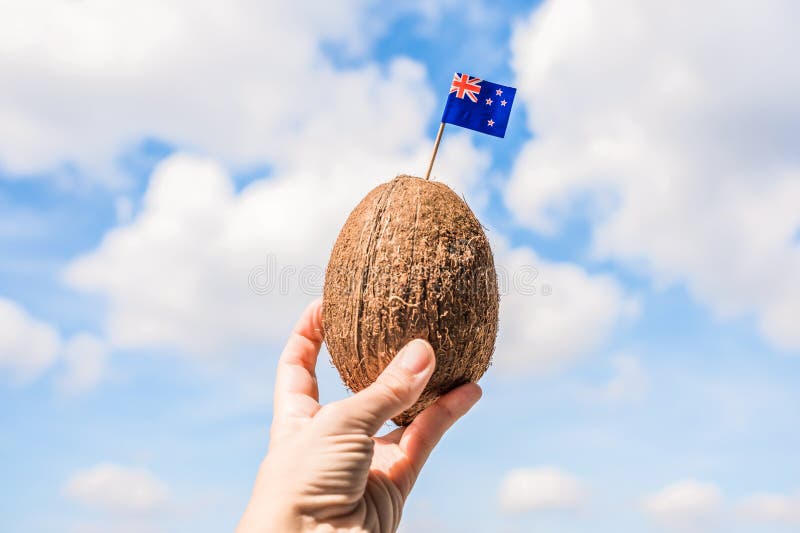 Tropical Coconut with the Australian Flag in the Form of a Toothpick in ...