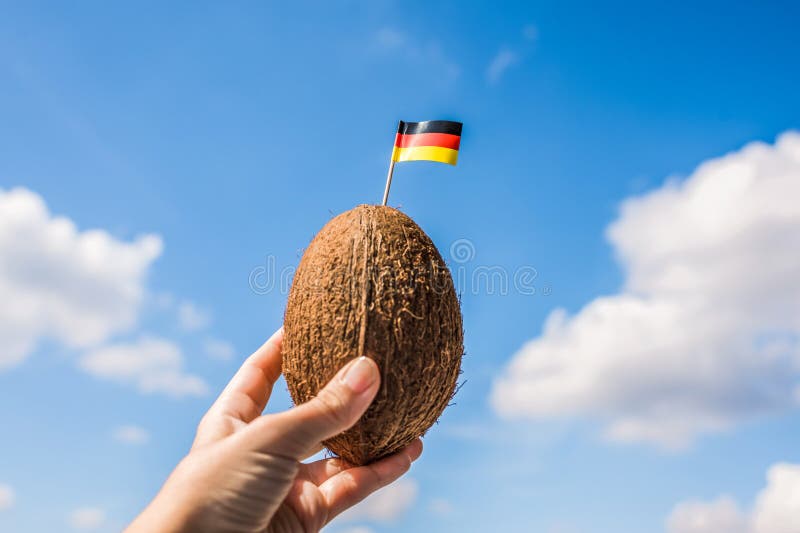 Tropical Coconut with Germany Flag on the Toothpick in Female Hands.  Deutsch Tourist on Vacation. Travel Concept. Stock Image - Image of ocean,  germany: 155627031