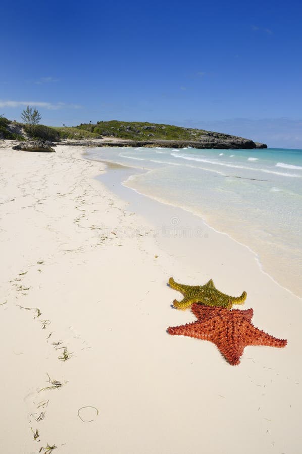 Tropical cuban beach