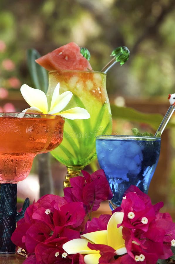 Tropical Drinks stock photo. Image of bartender, pourer - 2550494