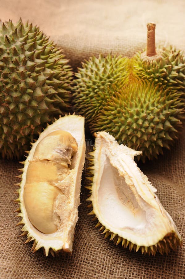 Tropical Durian fruit