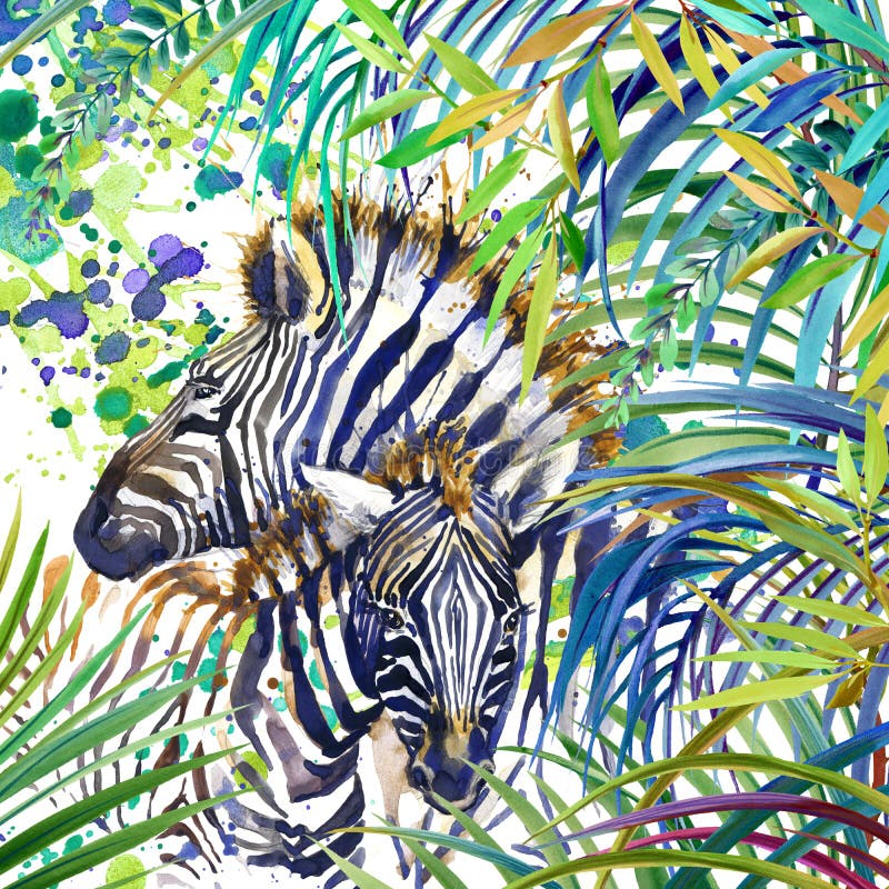Tropical exotic forest, Zebra family, green leaves, wildlife, watercolor illustration.fe, watercolor illustration. vector illustration Tropical exotic forest, Zebra family, green leaves, wildlife, watercolor illustration.fe, watercolor illustration. vector illustration
