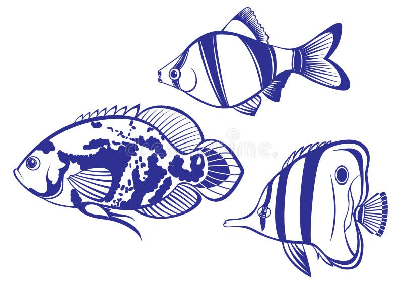 Tropical Fish royalty free illustration