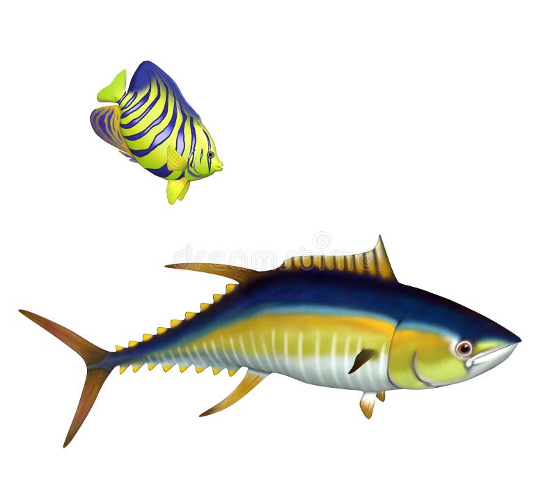 Tropical Fish royalty free illustration