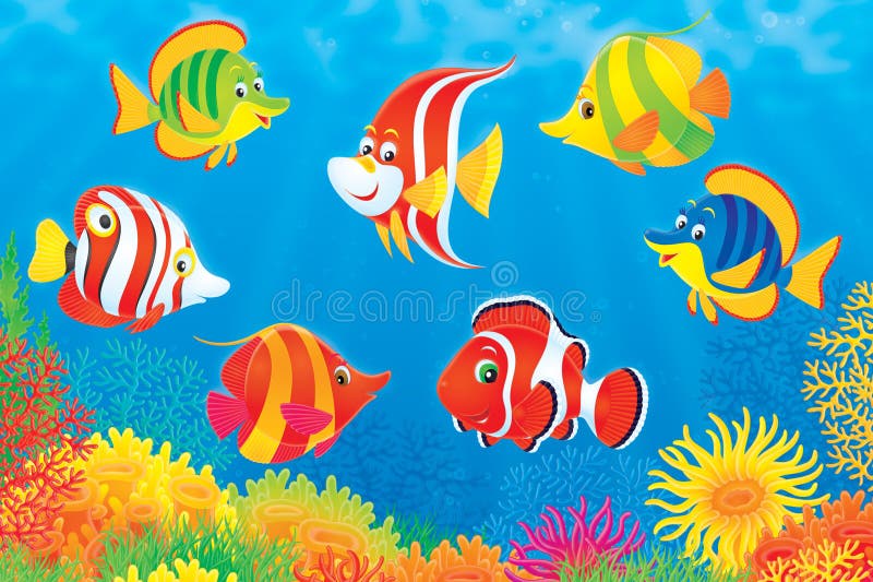 Tropical fish above a coral reef