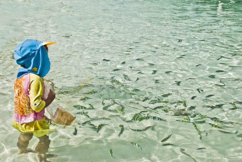 Tropical Fish Feeding, Thailand Stock Image Image of people, island