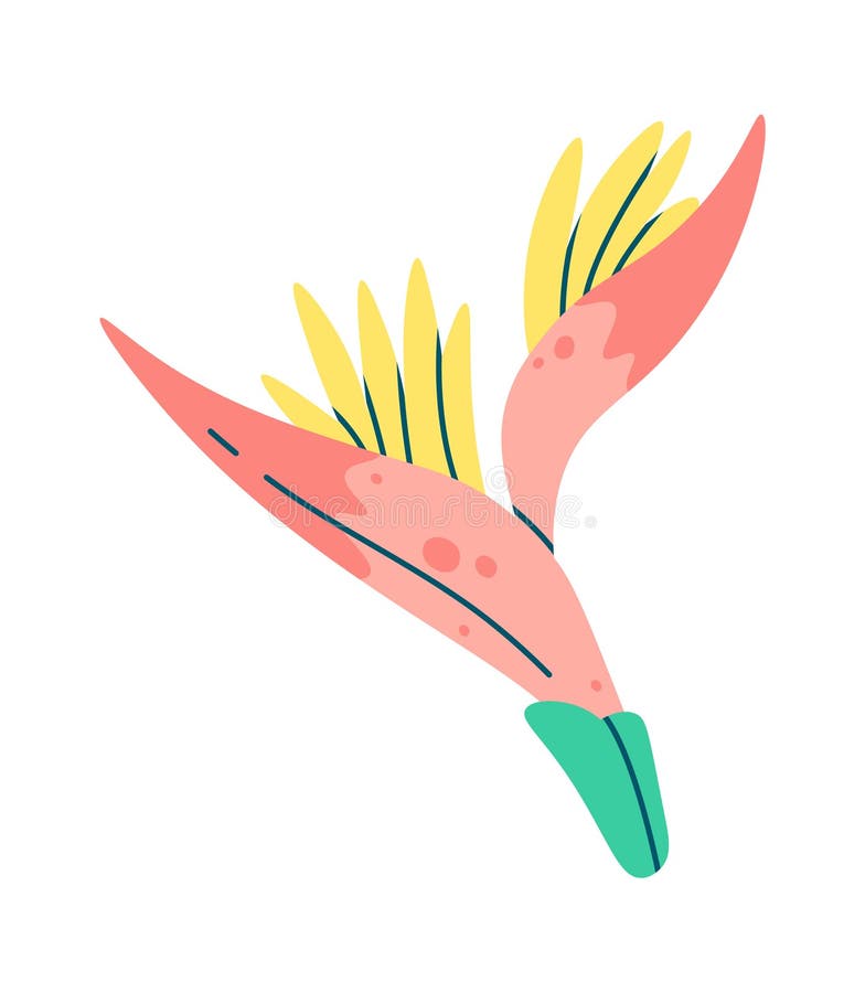 Tropical Flower Flat Illustration Exotic Plant Stock Vector