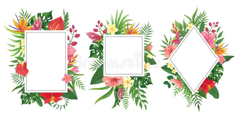 Tropical flower frames. Botanical tropics borders, tropic flowers invitation frame and summer plants green leaves vector