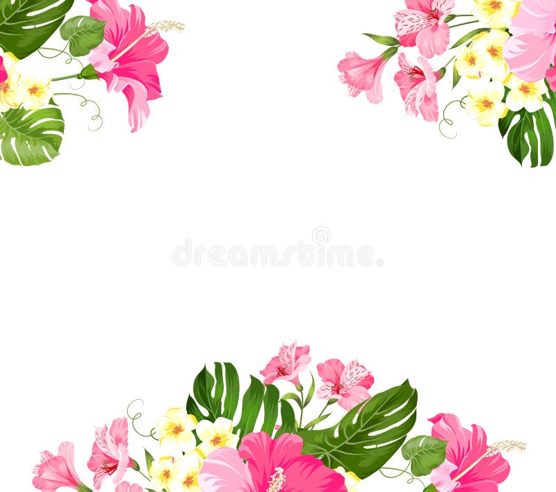 Tropical flower garland for your card design. Label with plumeria flowers. Invitation card template with color flowers royalty free illustration Tropical flower garland for your card design. Label with plumeria flowers. Invitation card template with color flowers royalty free illustration