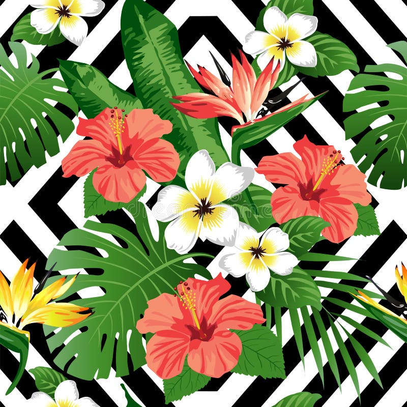 Tropical Flowers and Leaves. Hand Drawing Illustration, Isolated on