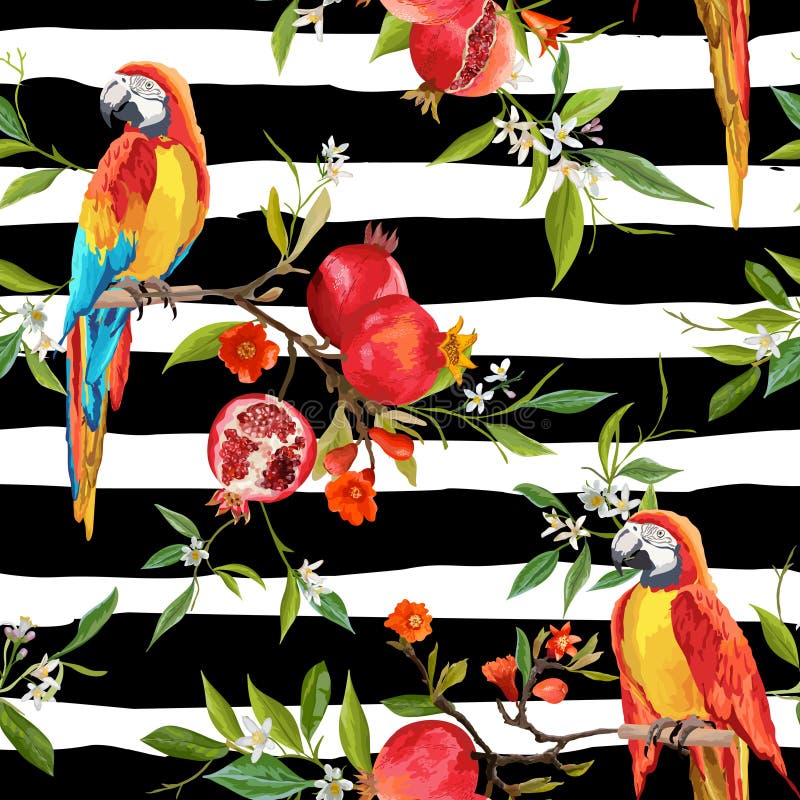 Tropical Flowers, Pomegranates and Parrot Birds Background stock illustration